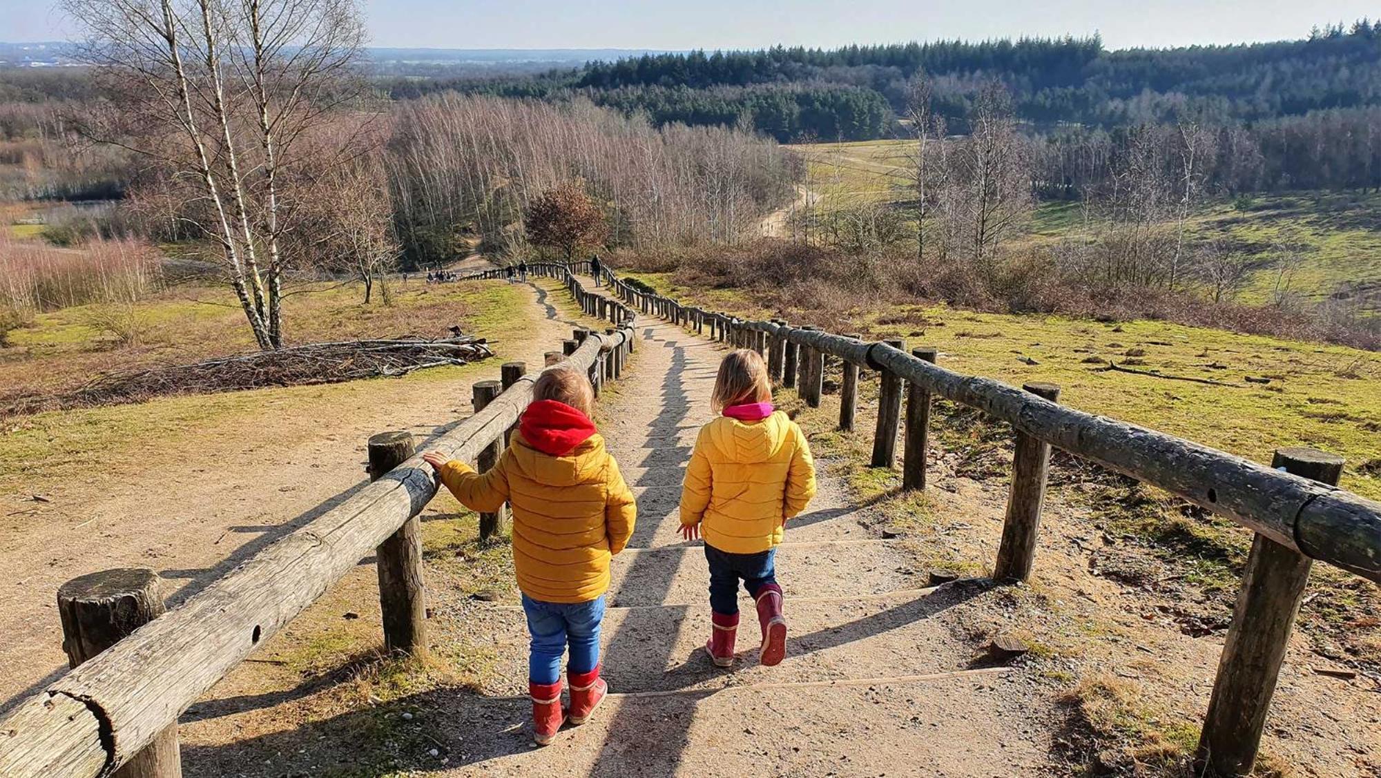 Molecaten Park Landgoed Ginkelduin Leersum ภายนอก รูปภาพ